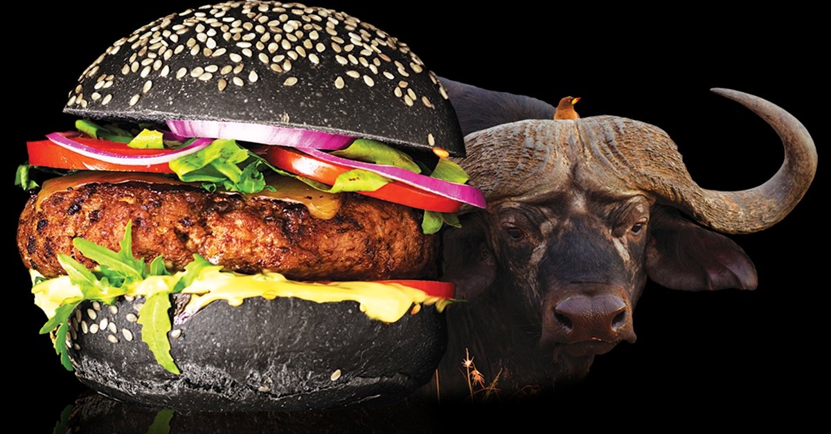 Fekete burger bivalyhússal